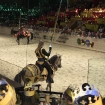 2010-01-16 (026)